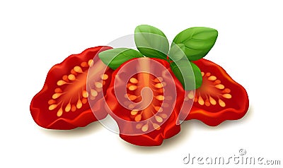 Sun dried tomatoes with basil on white background Vector Illustration